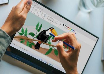 O aplicativo Paint reprojetado para Windows 11 agora está disponível para Insiders